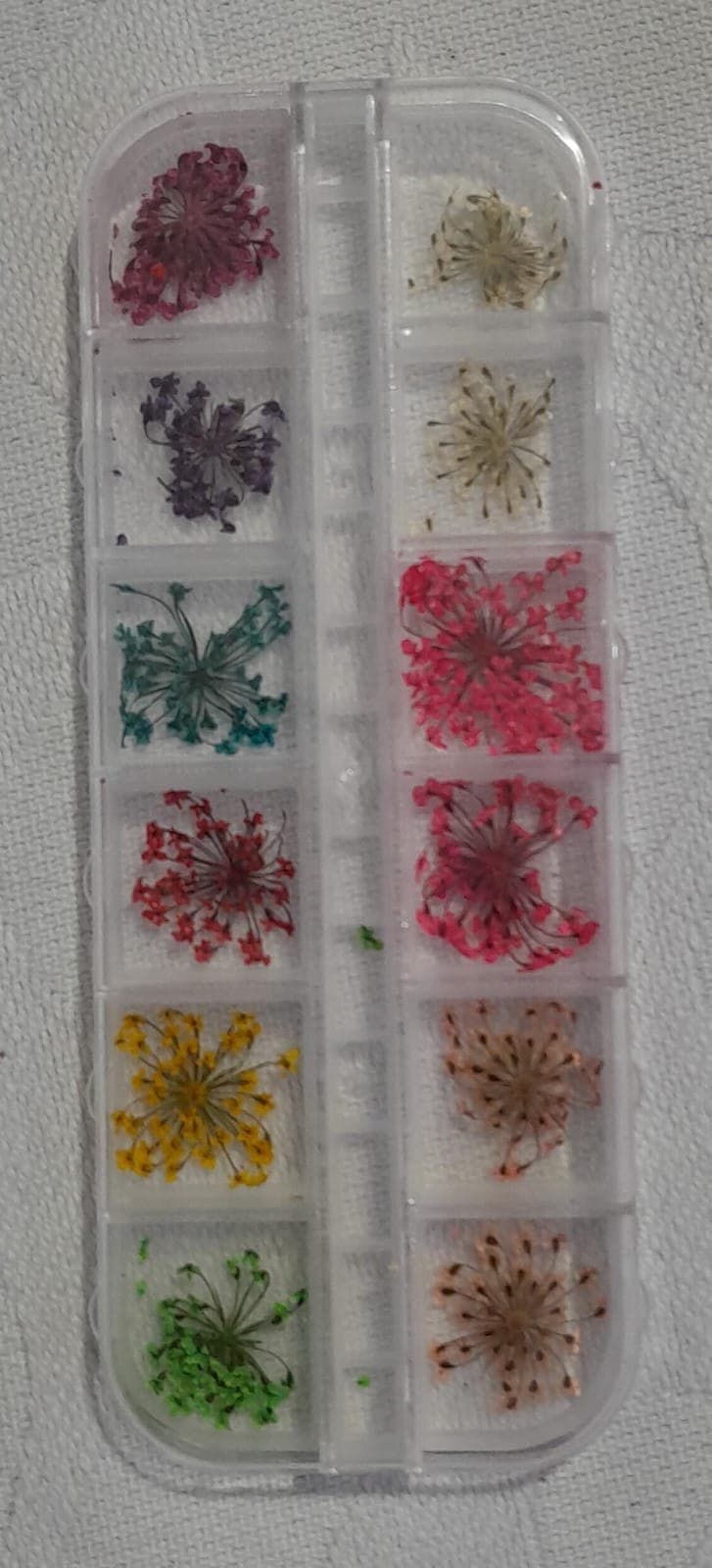 Caixa Organizadora com Flores Secas Naturais para Nail Art