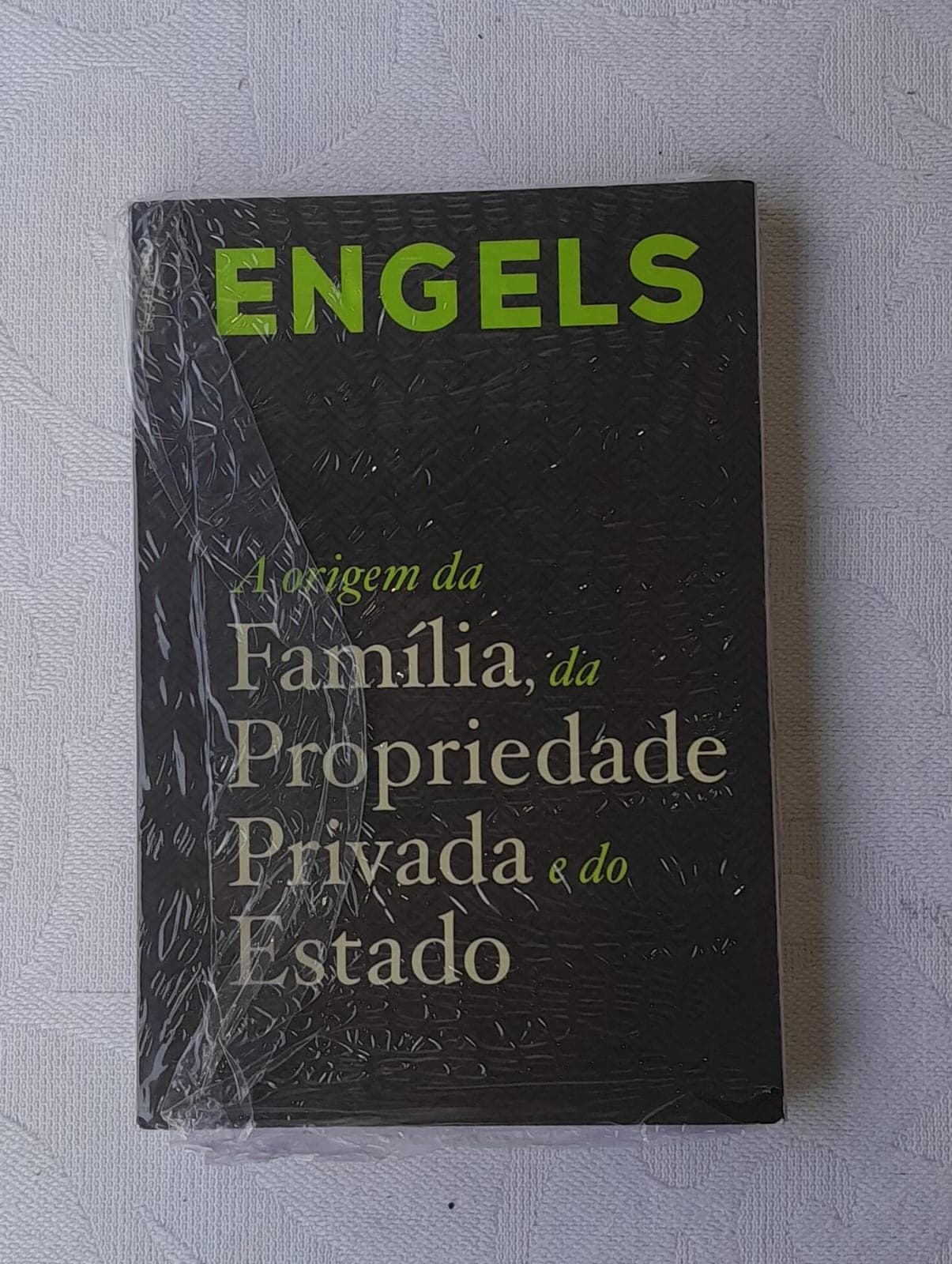 Livro A Origem da Família de Friedrich Engels