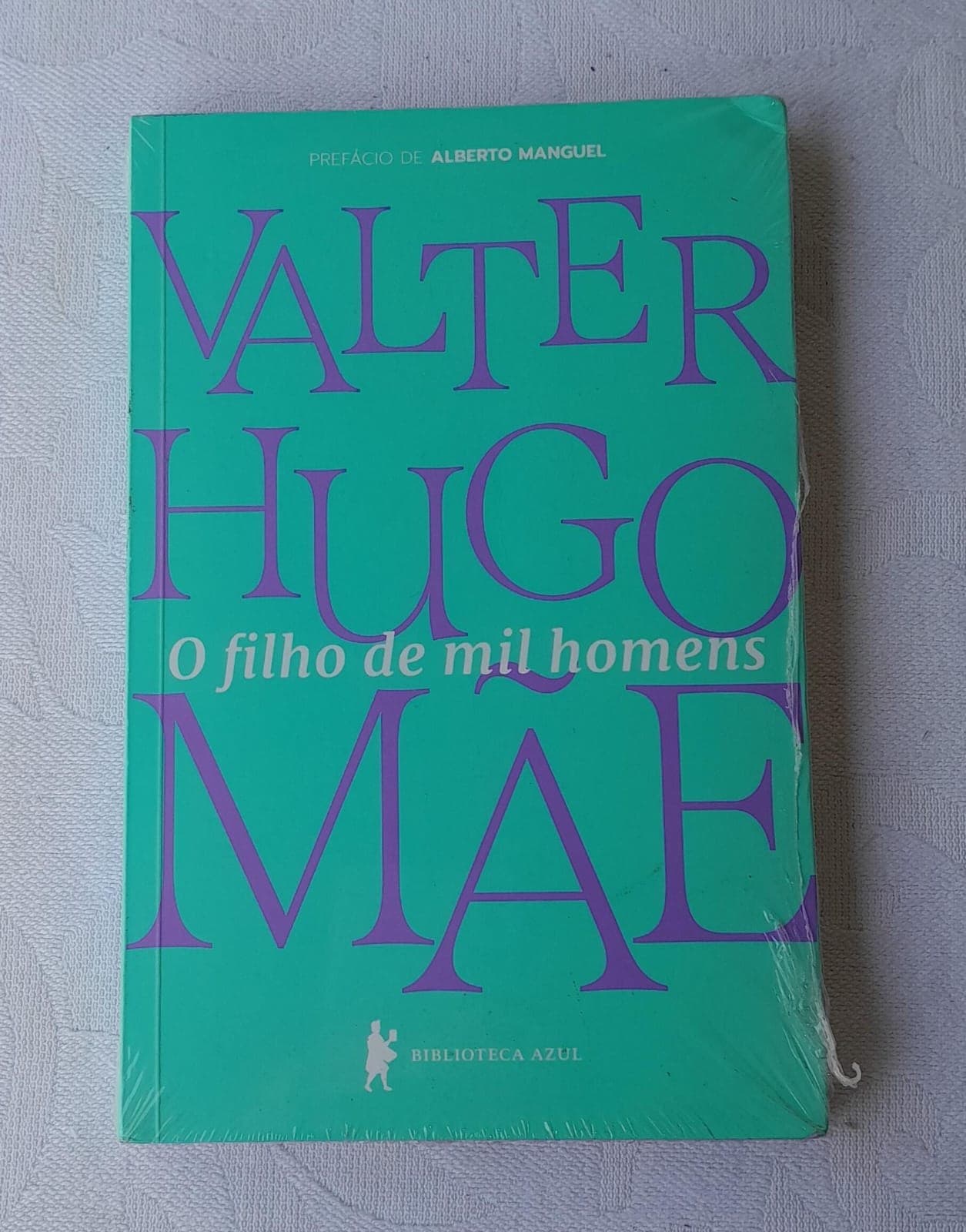 Livro O Filho de Mil Homens de Valter Hugo Mãe