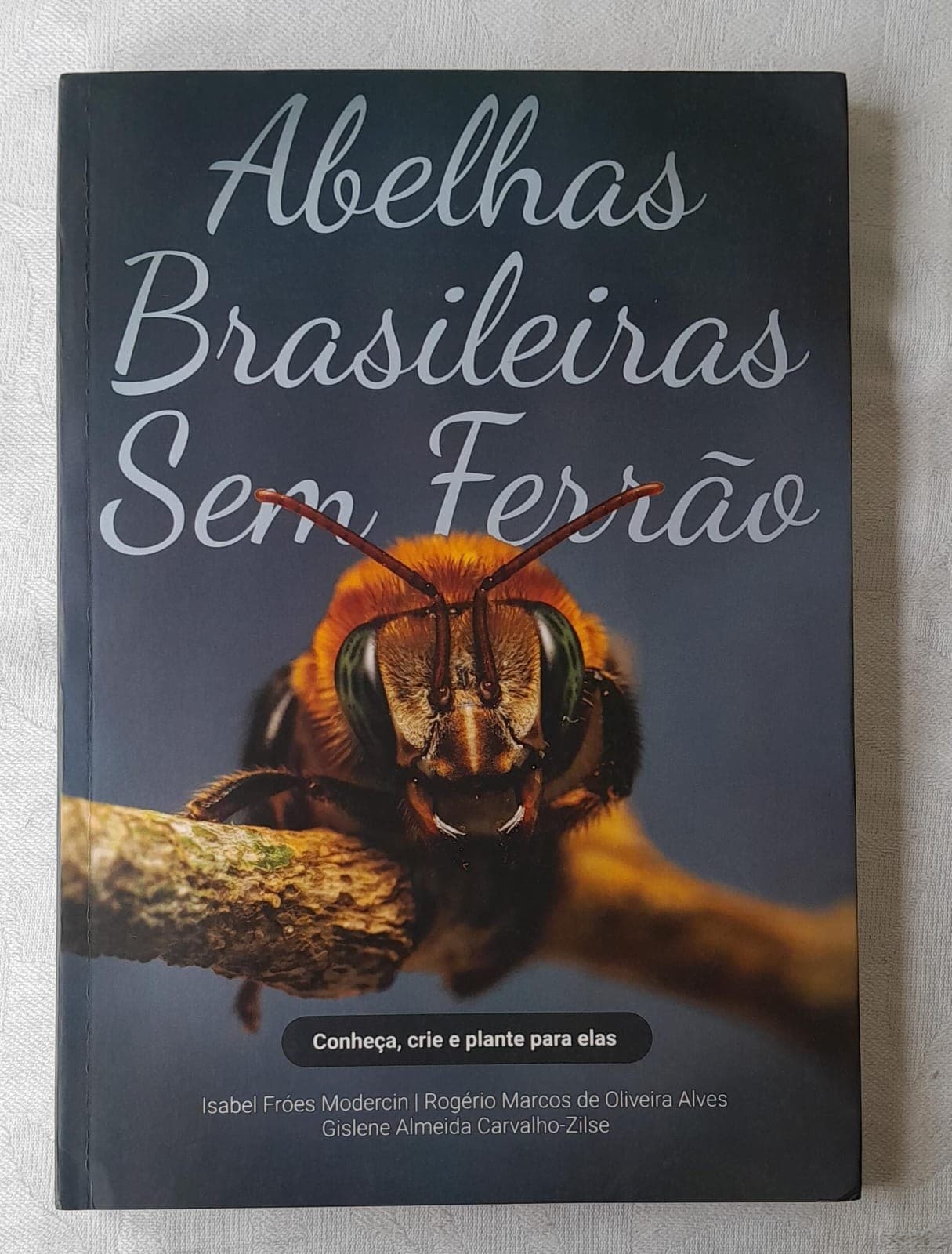 Livro Abelhas Brasileiras Sem Ferrão Guia Completo