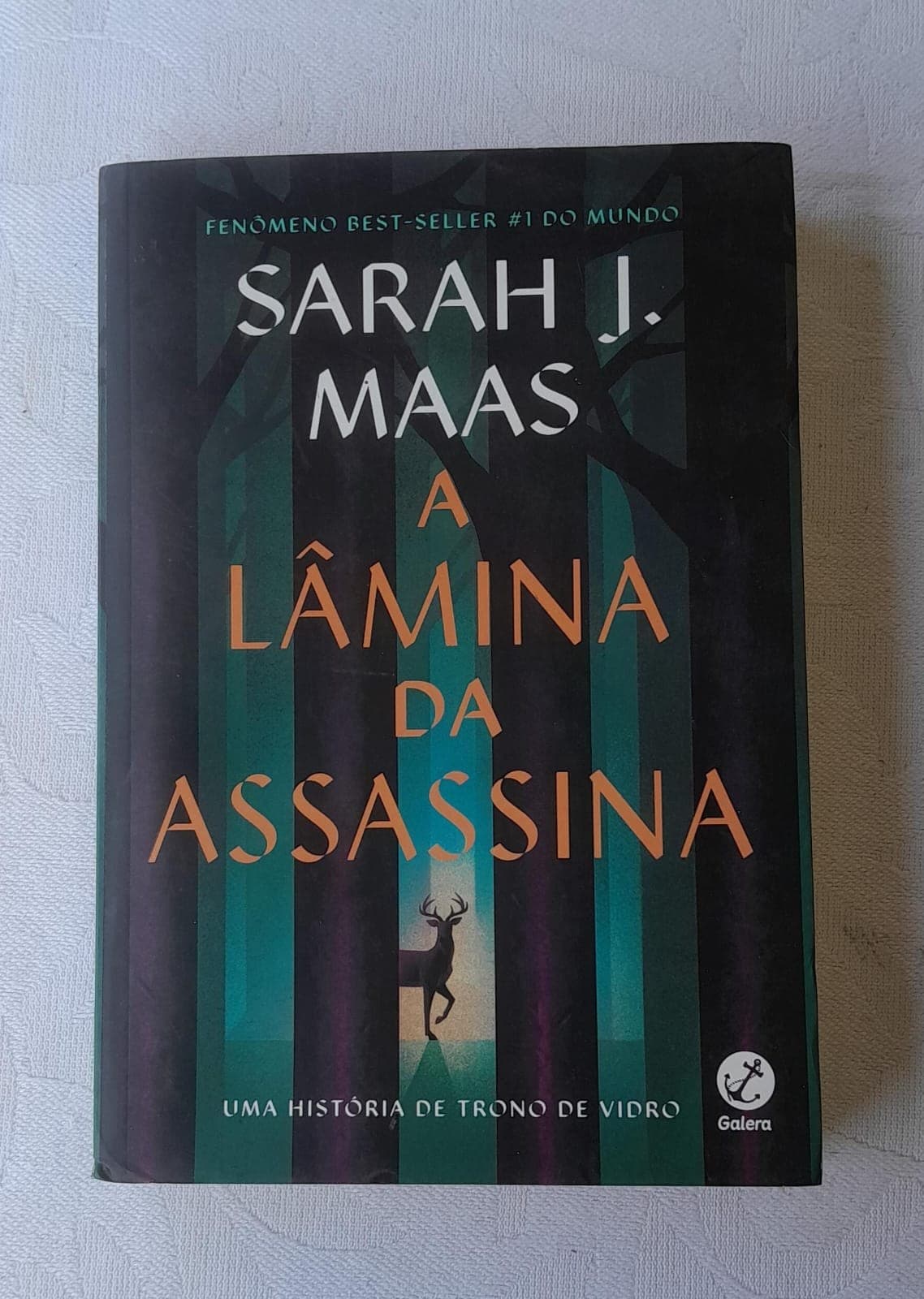Livro A Lâmina da Assassina de Sarah J. Maas